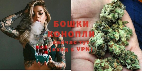 дживик Верея