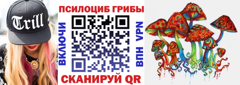 наркотики гидра вход Псилоцибиновые грибы GOLDEN TEACHER Неман